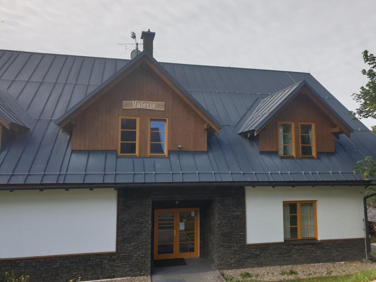 Apartmany Valerie Vítkovice Exterior photo